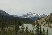 32 - Banff to Icefields - IMG_0947